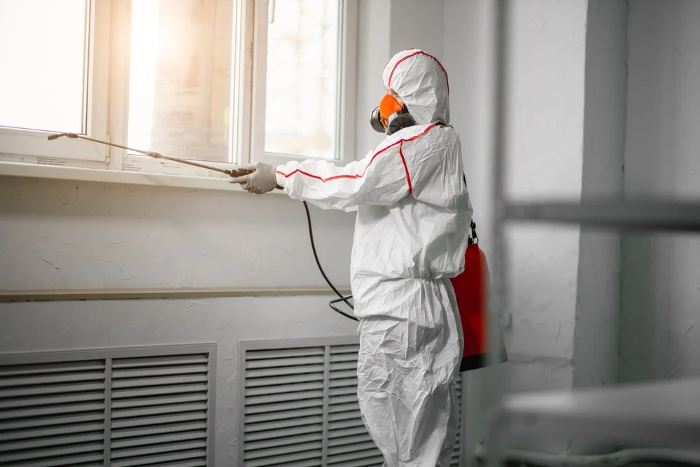 Professional mold remediation services in Talisheek, LA